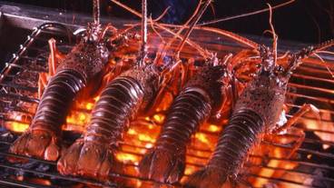 食事・飲み物 / 6