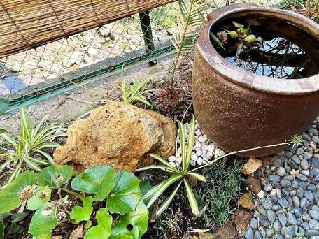 下田荘 浜辺の湯 / 4