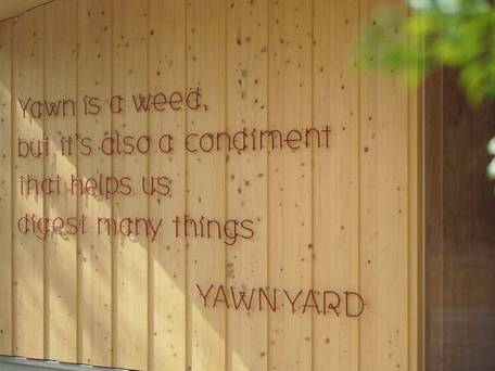 YAWN YARD Kouri Island / 3