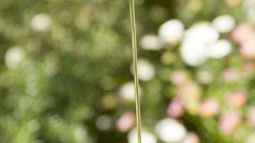 レストラン / 23