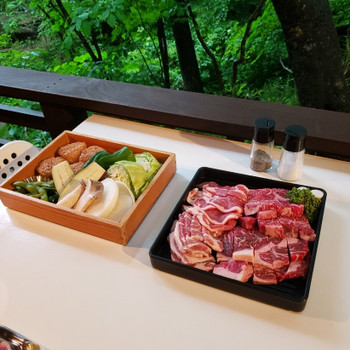 「ホテルフォレストヒルズ那須」 料理 177469615 人間用のBBQ