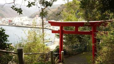 施設の敷地 / 10