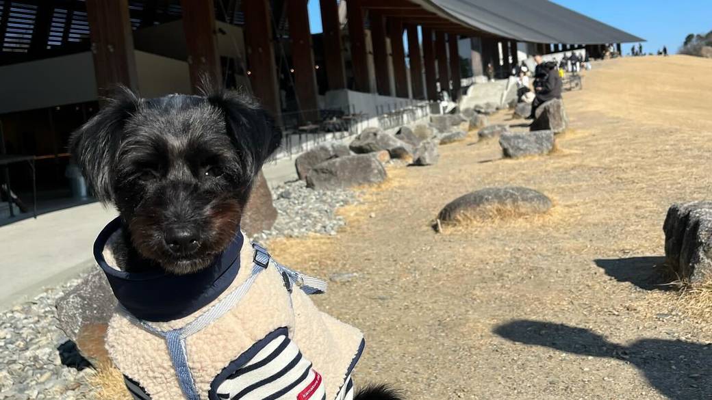 愛犬と一緒に
楽しんだ鳥羽の旅 / 1