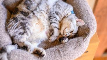 施設内の設備 / 11