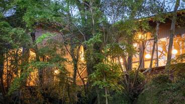 施設の敷地 / 22