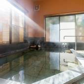 信州しもすわ温泉 ぎん月（長野県 旅館） / 2