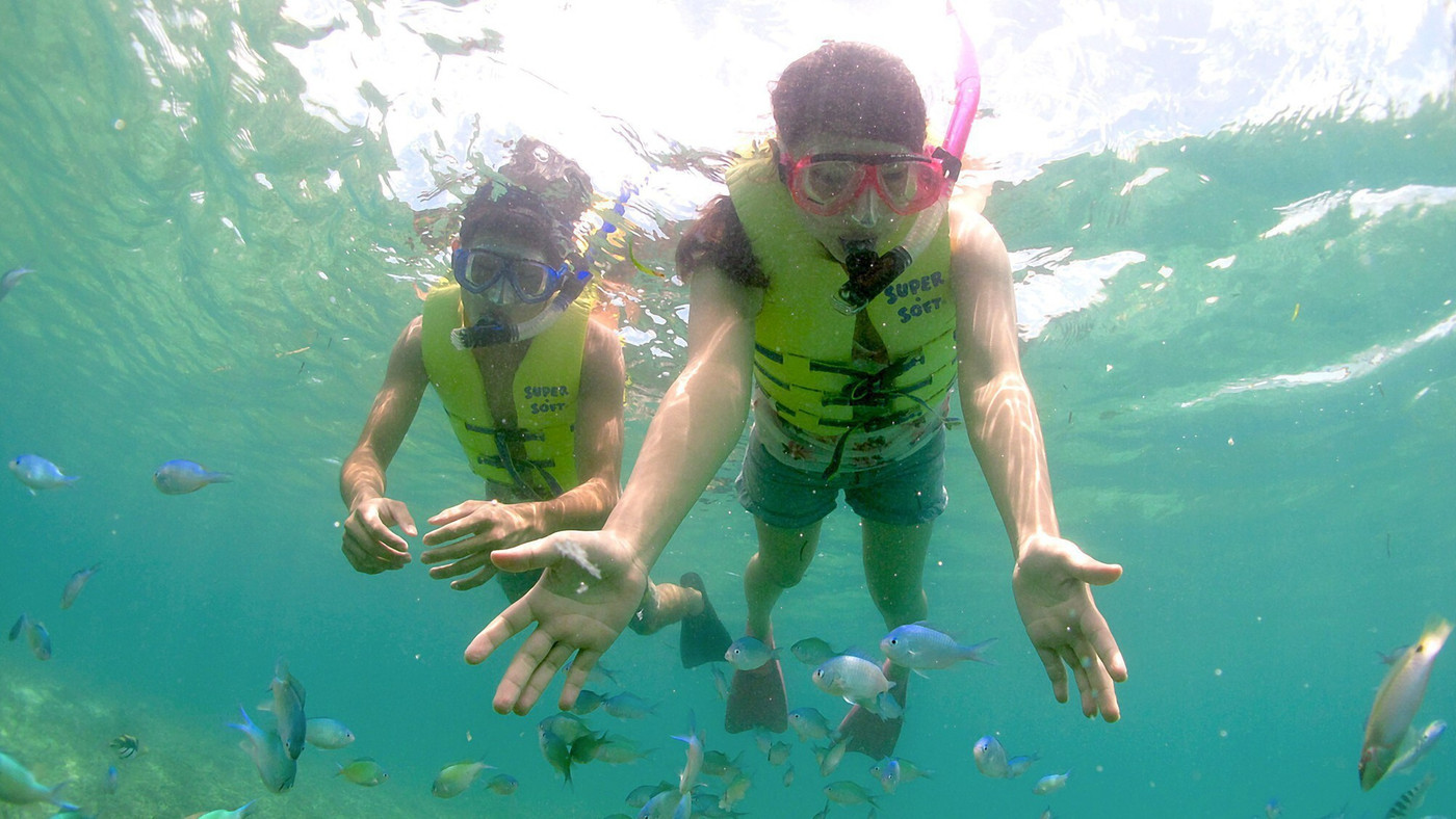 南国の魚たちを鑑賞しよう「シュノーケリングツアー」4270004