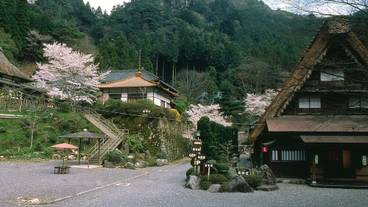 施設の敷地 / 11