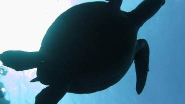 フィットネス設備 / 3