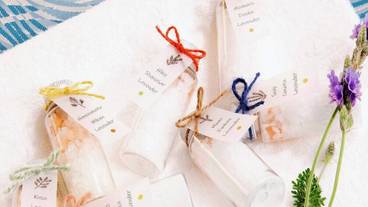 客室の設備とサービス / 36