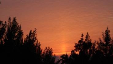 部屋からの景観 / 30