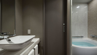 モデレートツイン