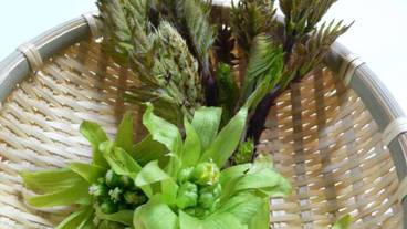 施設の敷地 / 26