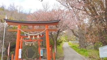 ランド ビュー / 7