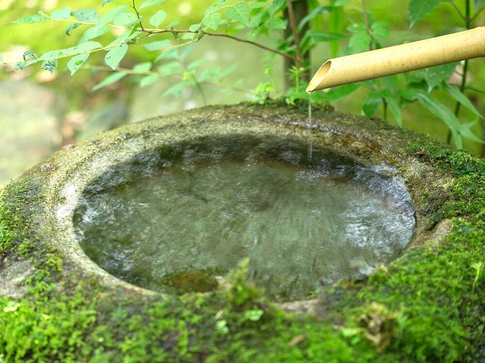 中庭