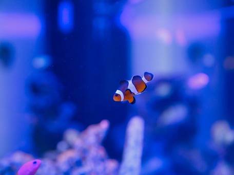 金沢駅前ホテル / 3