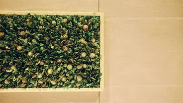 ニコライバーグマン・アート作品 / 7