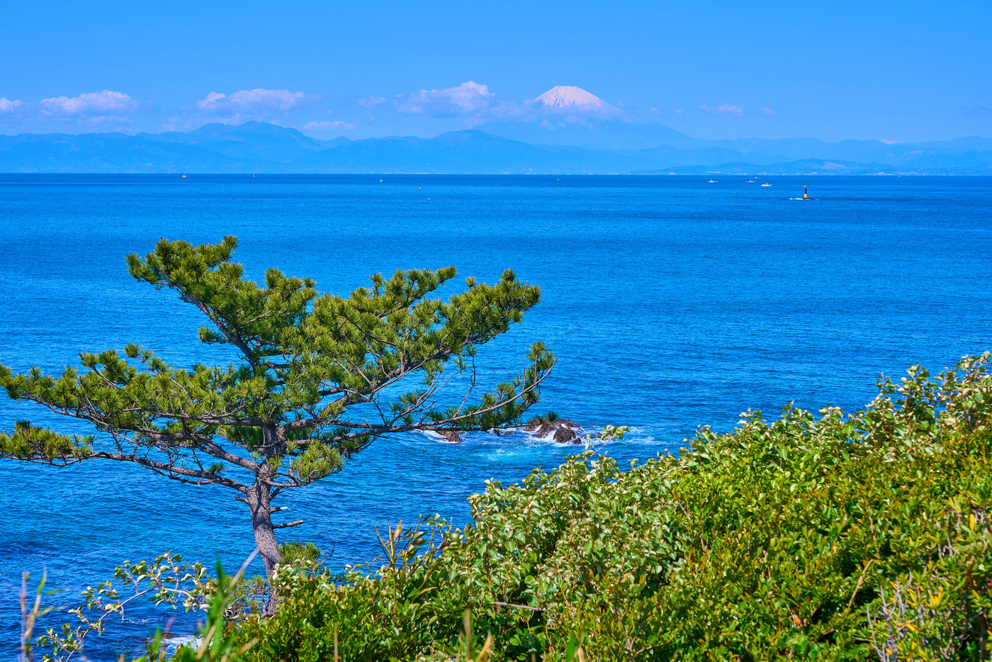 神奈川県横須賀市の荒崎公園(潮風の丘付近)から西側の眺望(富士山,相模湾など)