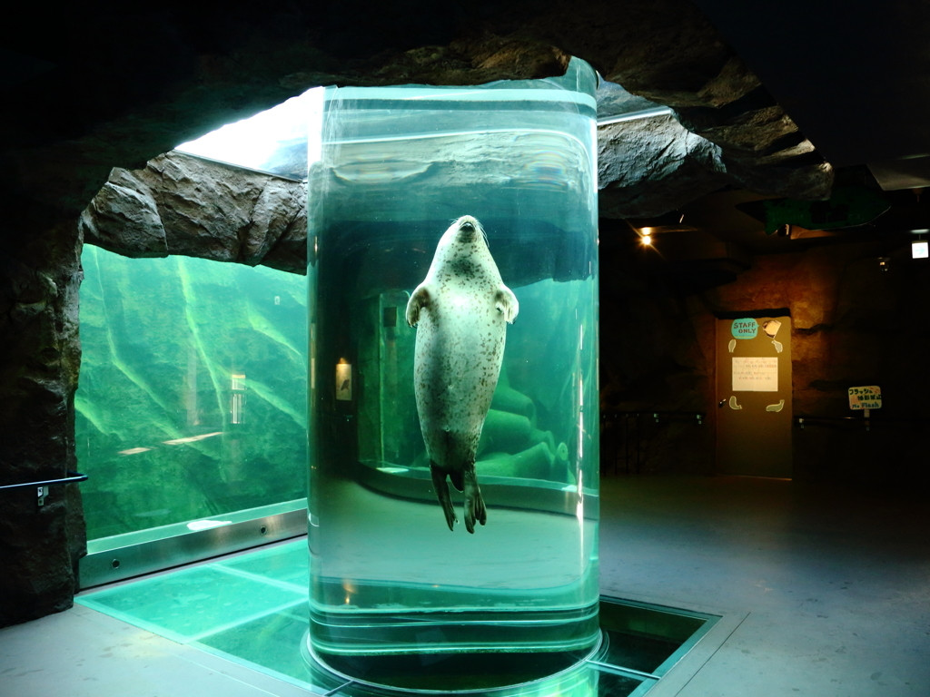 1.旭山動物園2004296