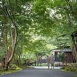 由布院温泉 おやど 二本の葦束