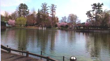 観光スポット / 8