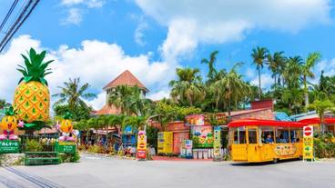 観光スポット / 10