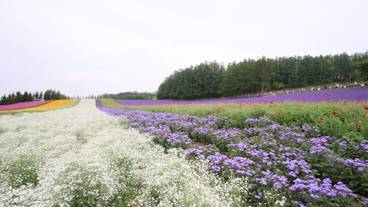 施設からの眺望 / 35