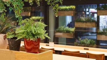 内装の詳細 / 18