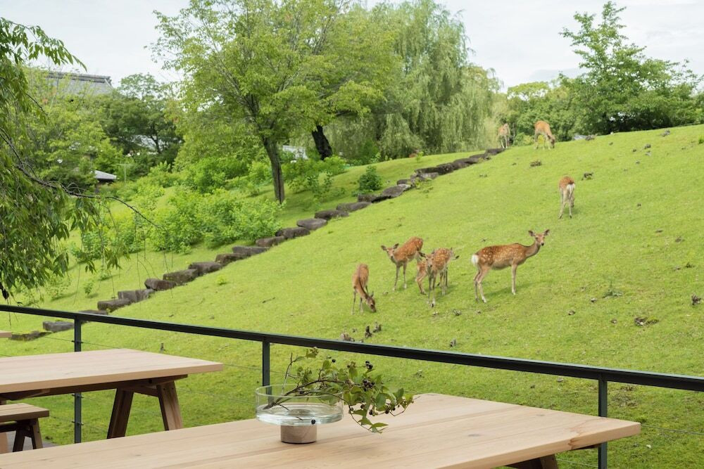 ロフトタイプのお部屋で子供も喜ぶ♪朝食は鹿が見えるテラス席で4265024