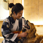 【岡山】ペットと泊まれるホテル・旅館5選！愛犬とさらに思い出を