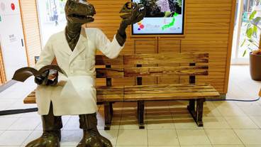 シティ ビュー / 24