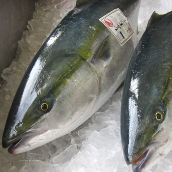 氷見の山里にたたずむ田舎の温泉宿4231606