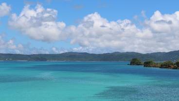 施設からの眺望 / 18