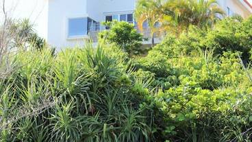 建物のデザイン / 15