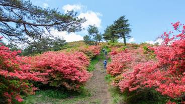 観光スポット / 10