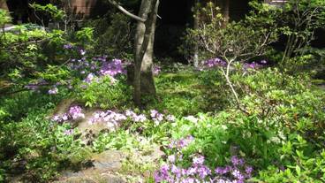 施設からの眺望 / 12