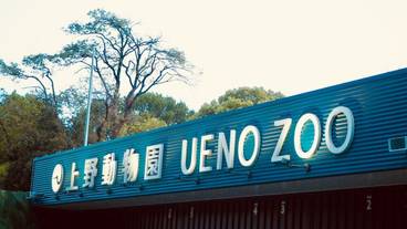 観光スポット / 16