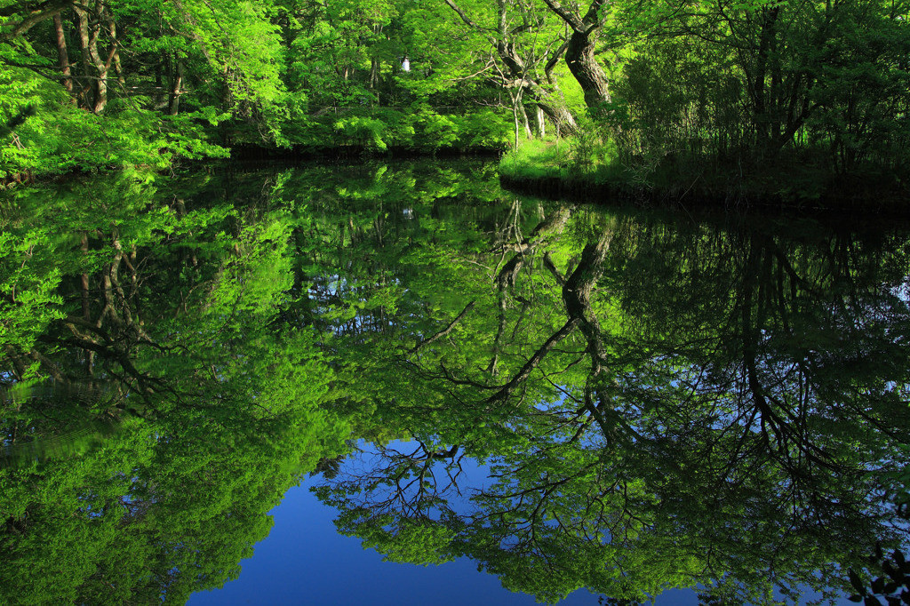 軽井沢での“おすすめの過ごし方”3434259