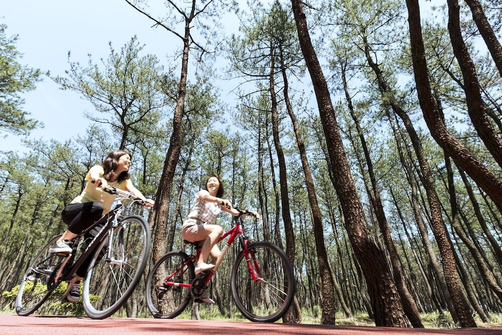 自転車