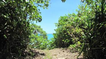 施設の敷地 / 17