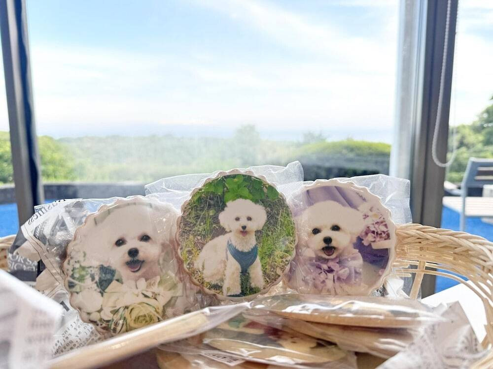 ペット用設備・サービス