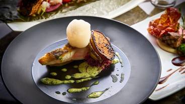 レストラン / 24