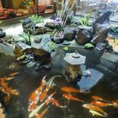 指宿温泉 夫婦露天風呂の宿 吟松（ぎんしょう）（鹿児島県 旅館） / 2