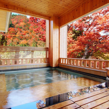 文学好きの大人に。文豪ゆかりの宿で名作に浸る旅を4261837