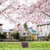 由布院温泉 ペンション ゆふいん（大分県 ペンション） / 5