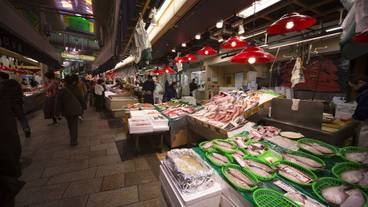 観光スポット / 5