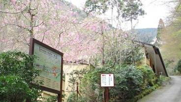 散策路の入口（春） / 7