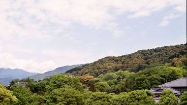 施設からの眺望 / 9