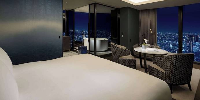 BELLUSTAR TOKYO(東京都 シティホテル) / 1