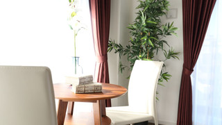 ジュニア スイート